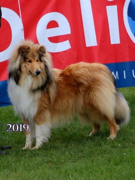 RE St Honoré les BAINS 7/04/19 - JUGE Mme Claire CADOT 